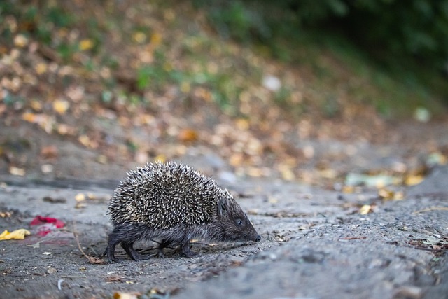 于他的个人 于他的个人