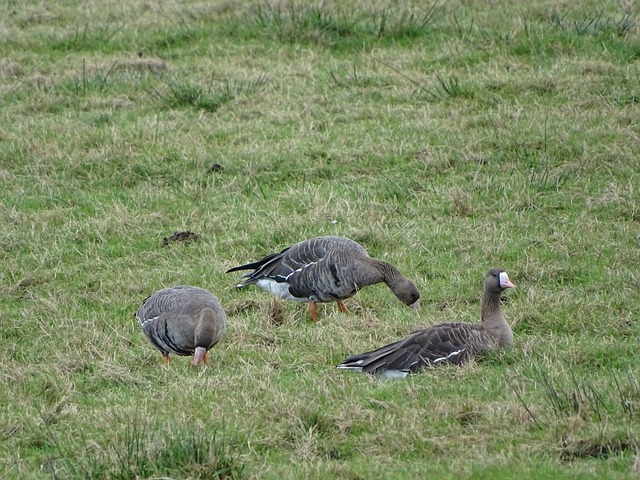 引发全场观 引发全场观