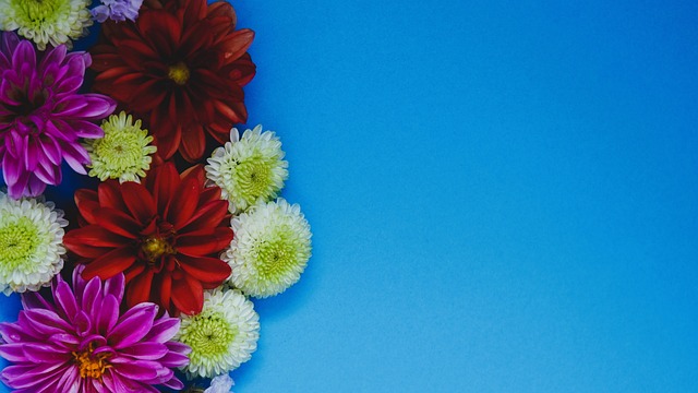 眼的一颗星 眼的一颗星