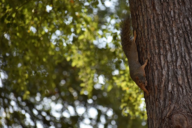 凭借其丰富 凭借其丰富