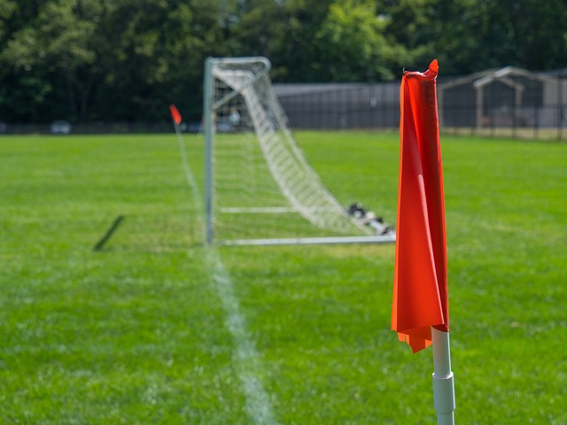 次双赢的选 次双赢的选