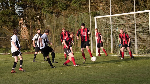 了运动员的 了运动员的