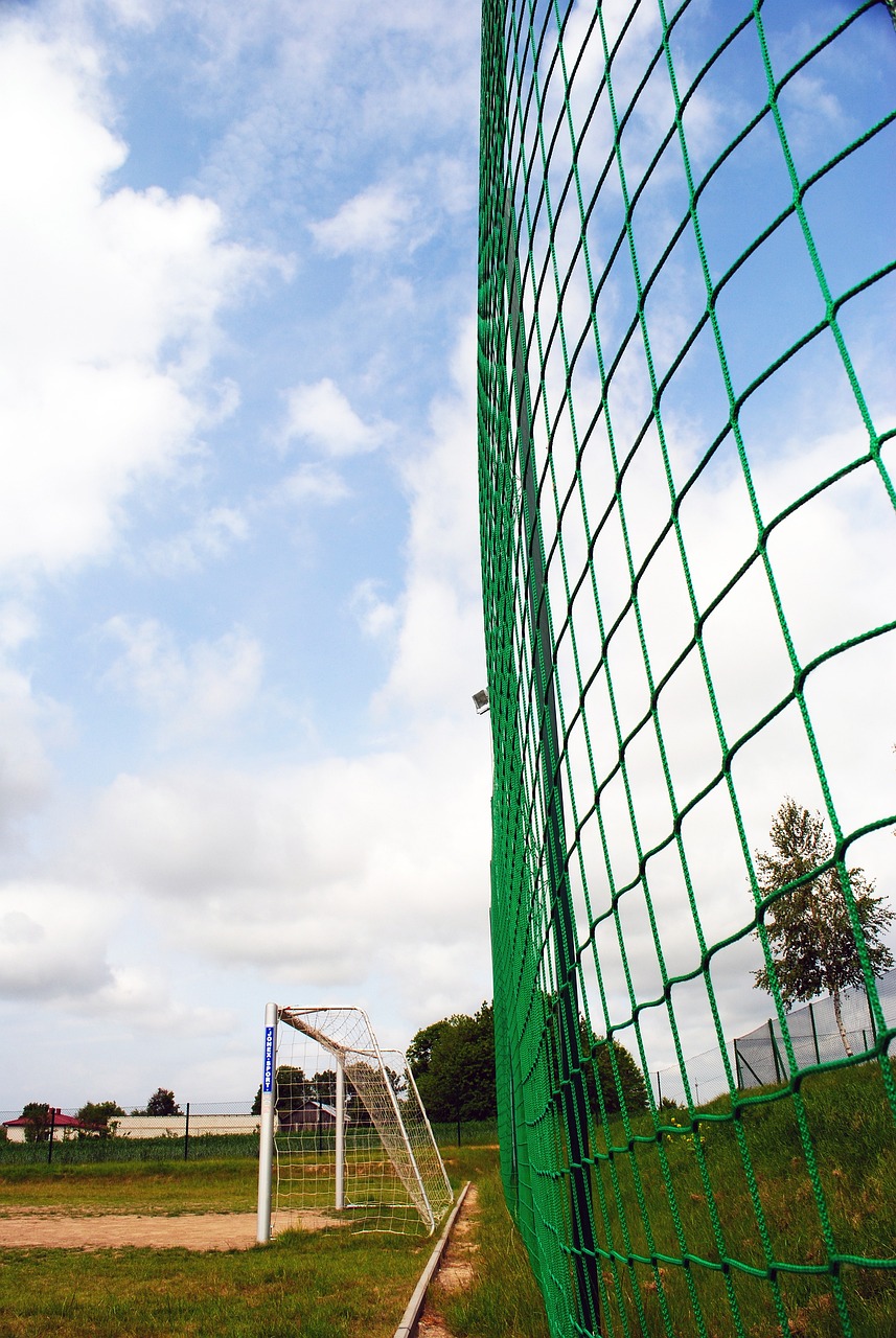 板已被彻底 板已被彻底